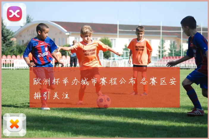 欧洲杯举办城市赛程公布 各赛区安排引关注