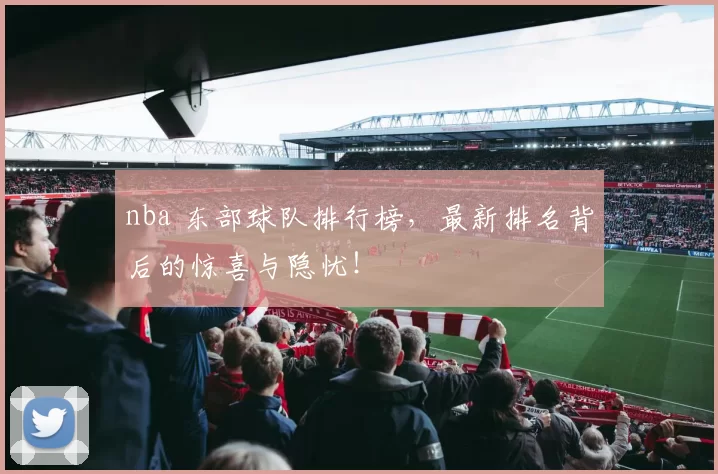 nba 东部球队排行榜，最新排名背后的惊喜与隐忧！