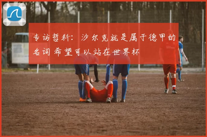 专访哲科：沙尔克就是属于德甲的名词 希望可以站在世界杯